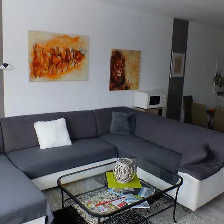 Apartment Hoheleye *